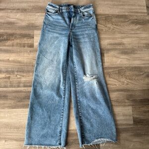 Judy Blue Light Blue Distressed Wide Leg Jeans